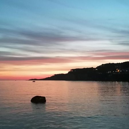 O Petit Monde Otel Sanary-sur-Mer Dış mekan fotoğraf